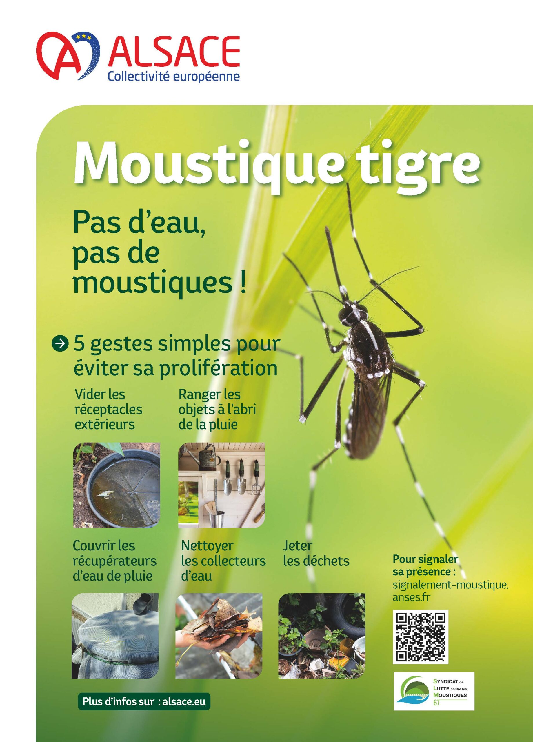 Prolifération du moustique tigre - Ville d`Erstein